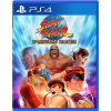 Street Fighter 30th Anniversary Collection [R3]